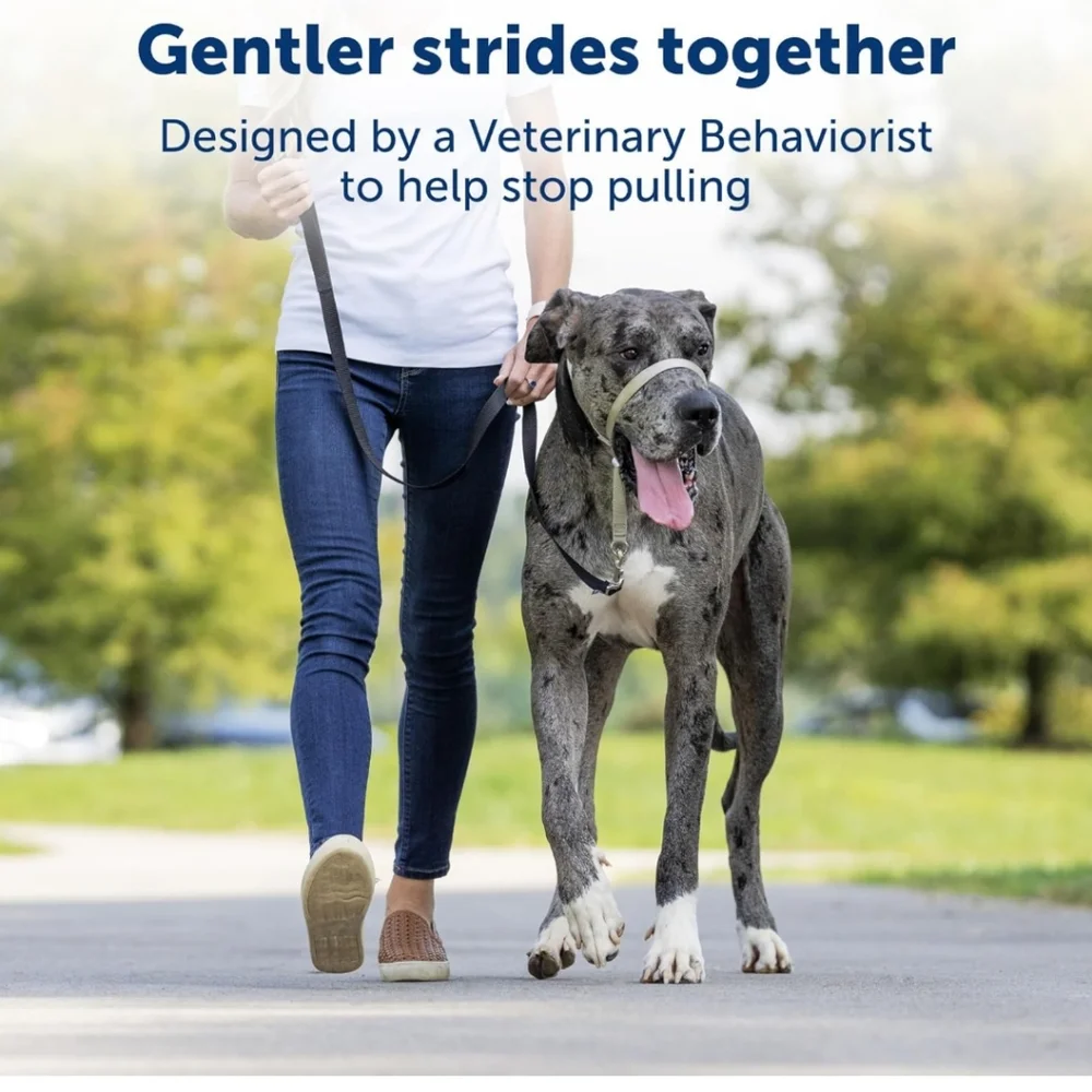 PetSafe easy walk